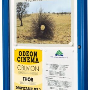42 FT Outdoor Lockable Noticeboard